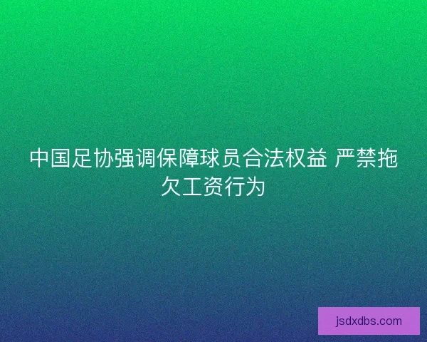 中国足协强调保障球员合法权益 严禁拖欠工资行为