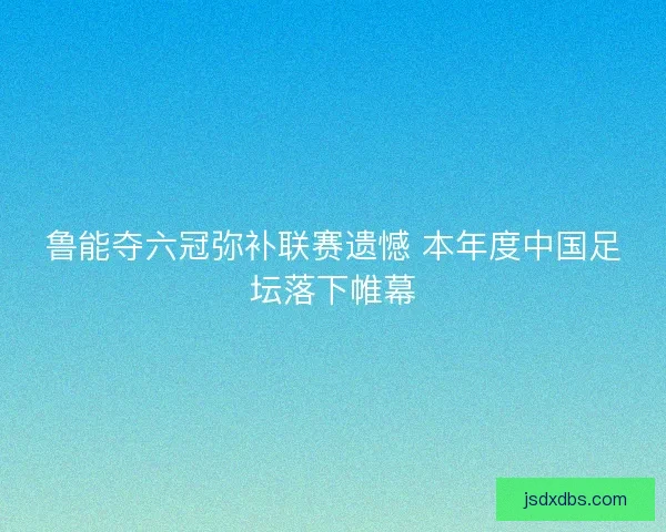 鲁能夺六冠弥补联赛遗憾 本年度中国足坛落下帷幕