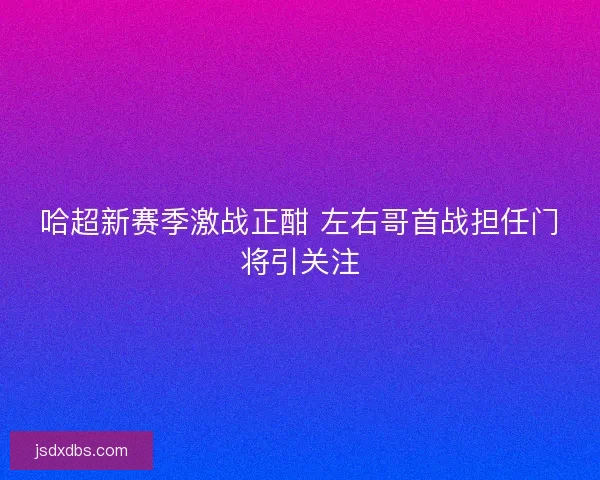 哈超新赛季激战正酣 左右哥首战担任门将引关注